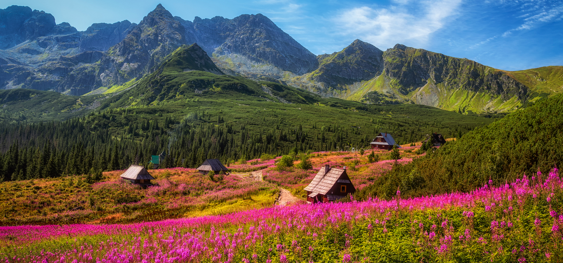 Turismo En Polonia Planea Tu Viaje A Polonia