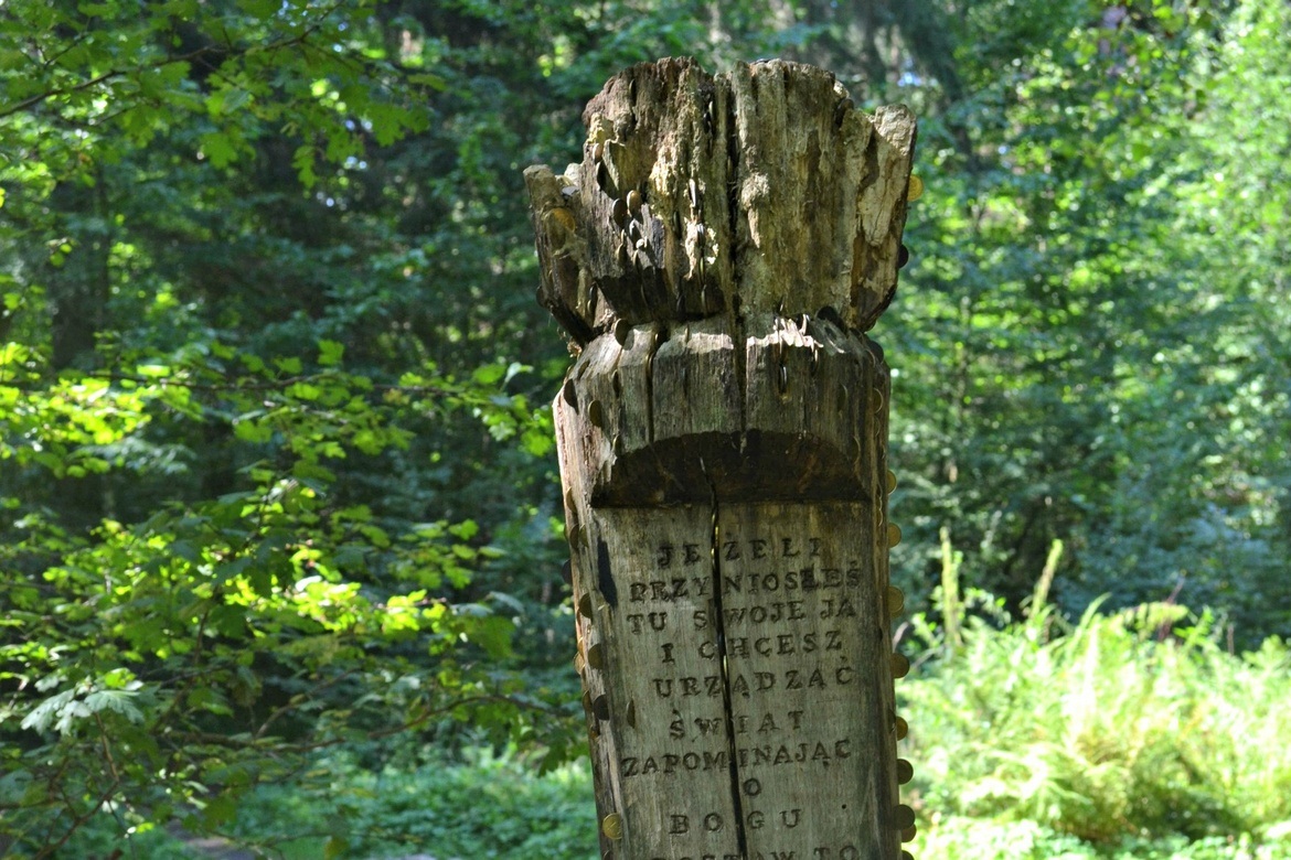 Place of Power in the Białowieża Forest