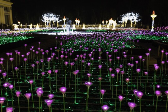 Jardines Real del Palacio de Wilanów en invierno