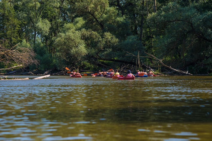 Foto che mostra delle persone in canoa lungo un fiume